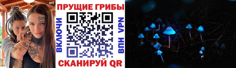 блэк спрут как зайти  Грайворон  Галлюциногенные грибы Psilocybine cubensis  где продают наркотики 