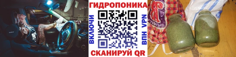 где можно купить наркотик  Грайворон  нарко площадка формула  Марихуана индика 